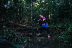 BIB: 
                            <button type="button" onclick="openModal(22458006)" class="btn btn-primary btn-sm float-right btn-popup" data-toggle="modal" data-target=".modal-high-quality">
                        <i class="fas fa-shopping-cart"></i> Add to Cart
                    </button>
                                            <button type="button" onclick="isThisMe(22458006, true)" class="btn btn-success btn-sm float-right btn-popup btn-isme hidden" data-toggle="tooltip" data-placement="bottom" title="นี่คือรูปของคุณใช่ไหม คลิกที่นี่เพื่อเอาเข้าอัลบั้ม">
                        <i class="fas fa-plus"></i> Add to album
                    </button>
                    <button type="button" onclick="isThisMe(22458006, false)" class="btn btn-warning btn-sm float-right btn-popup btn-isnotme hidden">
                        <i class="fas fa-ban"></i> Remove from album
                    </button>